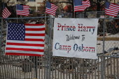 brick neighborhood hopes to catch prince harry's eye