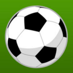 Liberty District Honors for SLHS Soccer